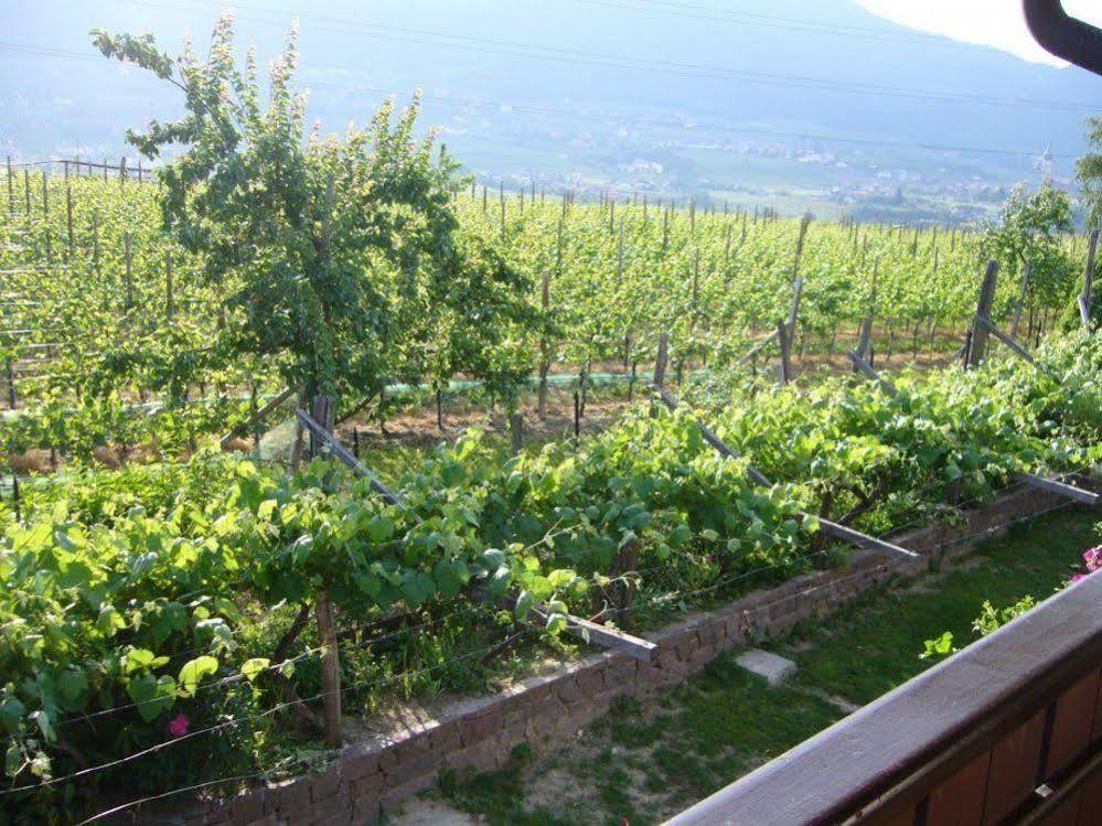 Hotel Gasthof Wastl Appiano Sulla Strada Del Vino Eksteriør bilde